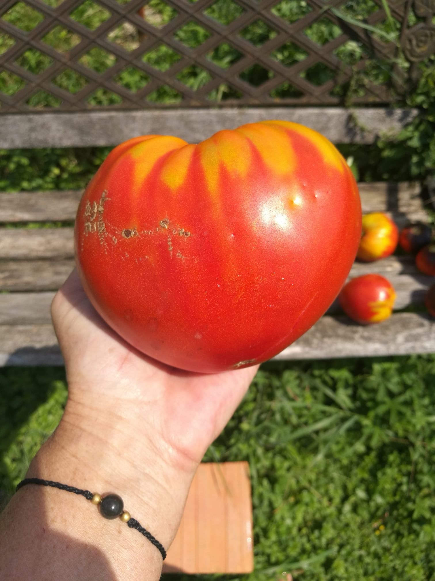 Podpora pobudi Posvoji kmeta