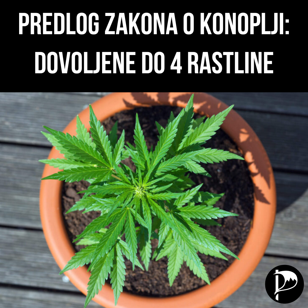 Predlog zakona o konoplji je pomemben korak, cilj pa mora ostati celovita legalizacija