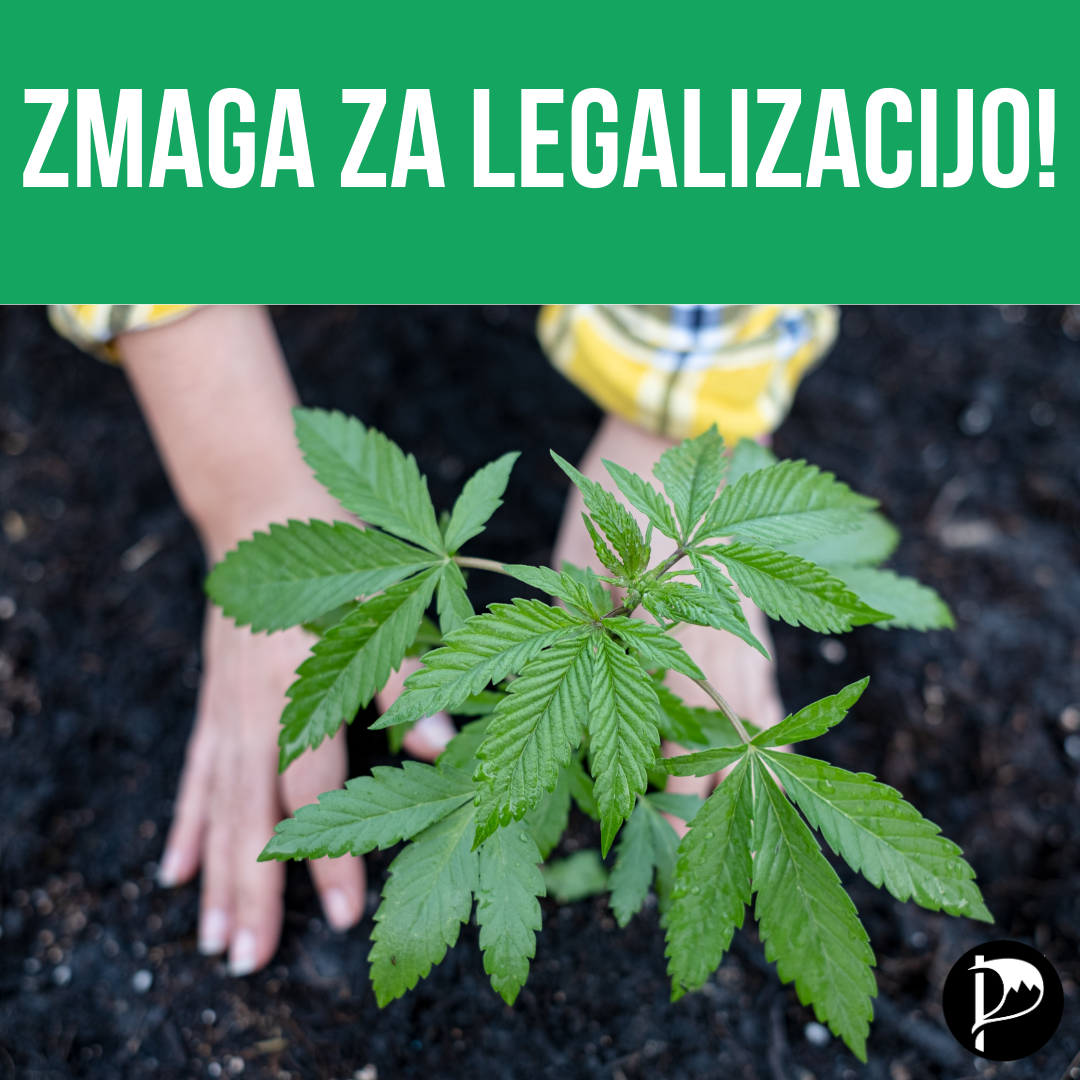 Zmaga za legalizacijo!